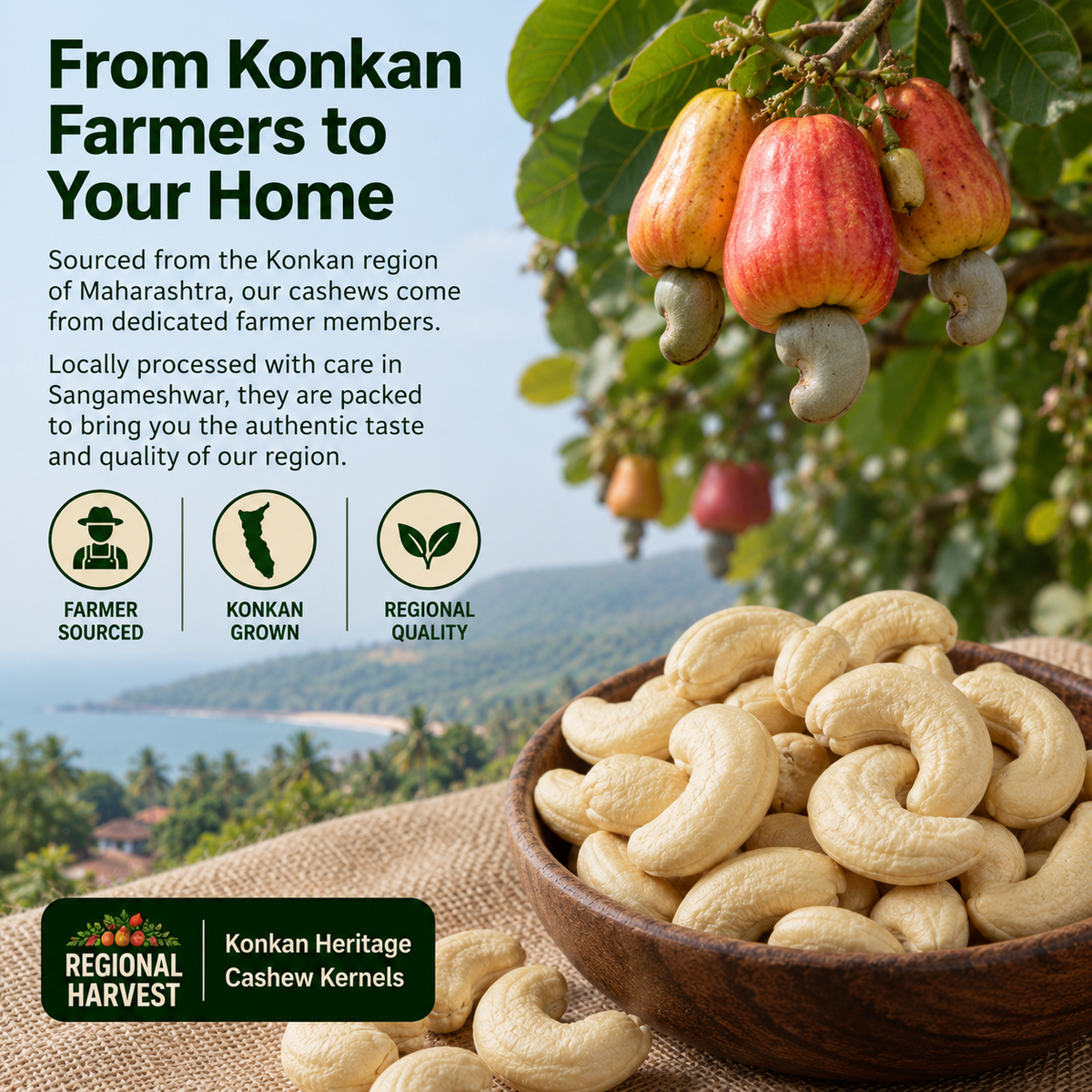 Konkan Cashew W180 – product information