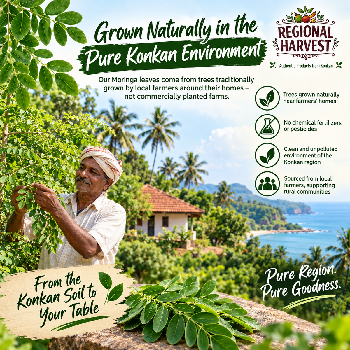 Moringa Leaf Powder 200 g – Grown Naturally in the Pure Konkan Environment